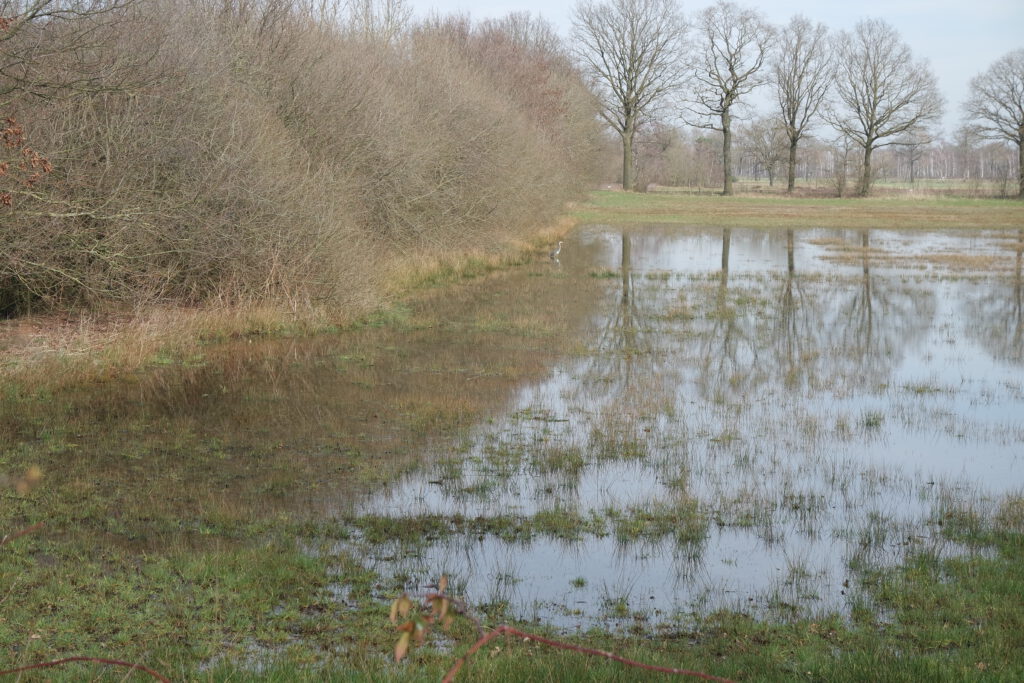 De Omgeving Achterhooks Huusken Wilgenhoeve